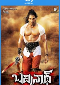 Sangharsh Aur Vijay (Badrinath) 450MB Hindi-Telugu 1