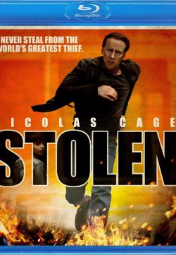 Stolen (2012) BRRip 420p 300MB Dual Audio