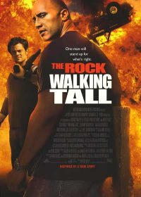 Walking Tall (2004) BRRip 420p 250MB Dual Audio 1