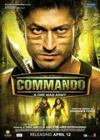 Commando (2013) Hindi Movie DVDRip 720P 5