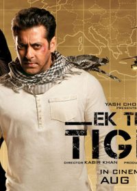 Ek Tha Tiger (2012) Hindi Movie DVDRip 5