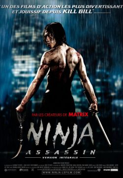 Ninja Assassin (2009) BRRip 420p 300MB Dual Audio