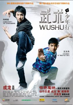 Wushu 2008 Hindi Dubbed Movie Watch Online free