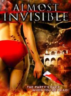 Almost Invisible (2010)