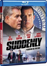 Suddenly (2013) Watch Movies Online For Free IN HD 720p 3