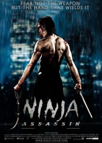 Ninja (2009) Dual Audio watch online in full HD 1080p 2