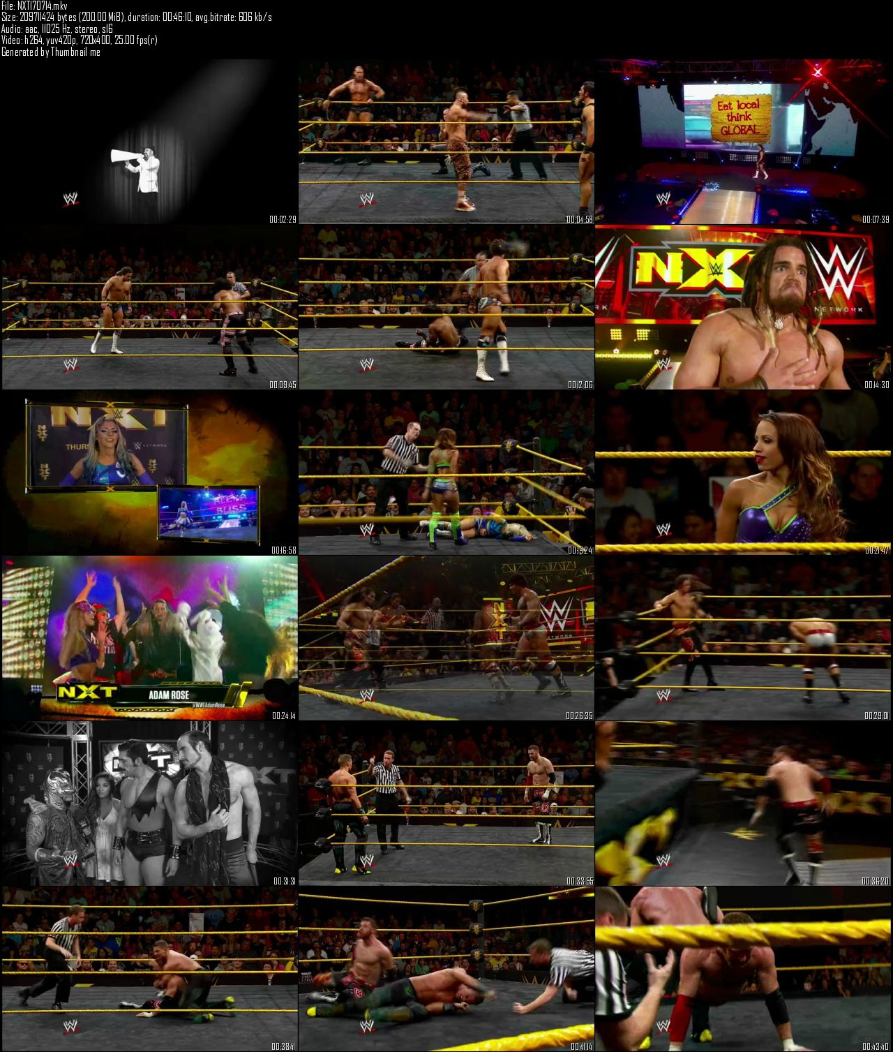 WWE NXT 17th July (2014)