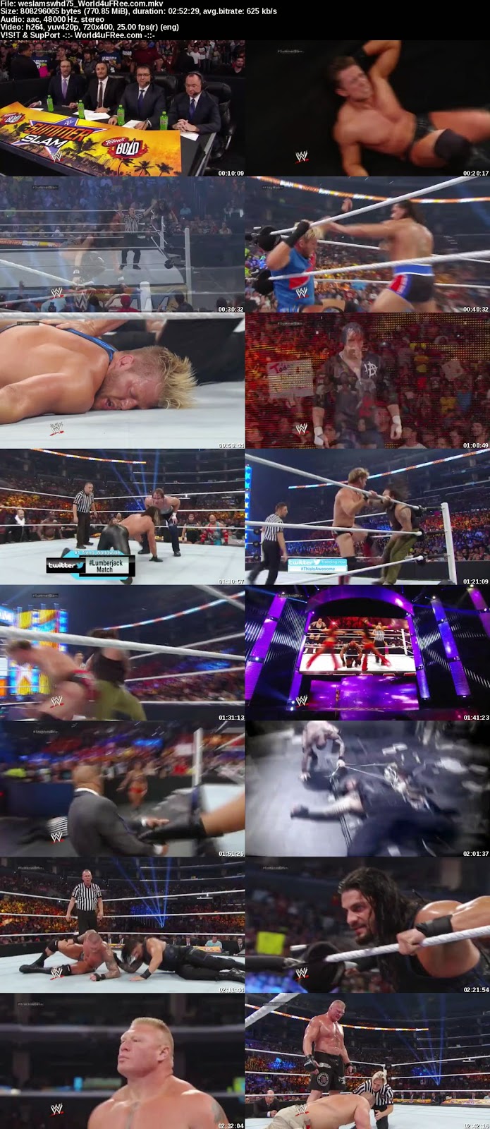 WWE Summer Slam 2014