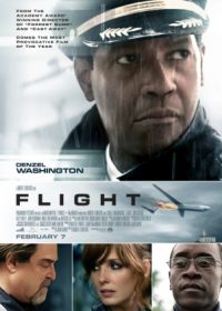 Flight (2012) In Hindi Dubbed Free Download In HD 720p 250MB  1