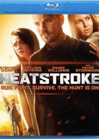 Heatstroke 2013 Full English Movie 300MB Free Download 720p 1