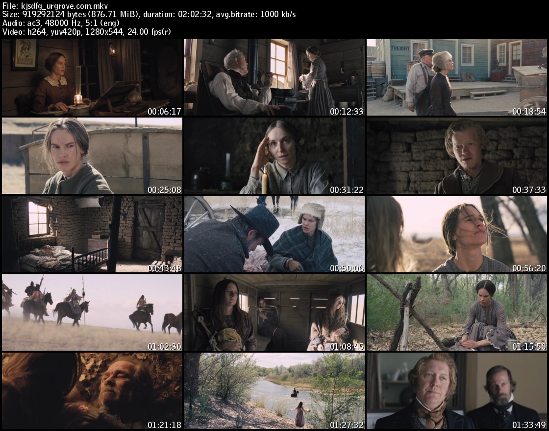 The Homesman 2014