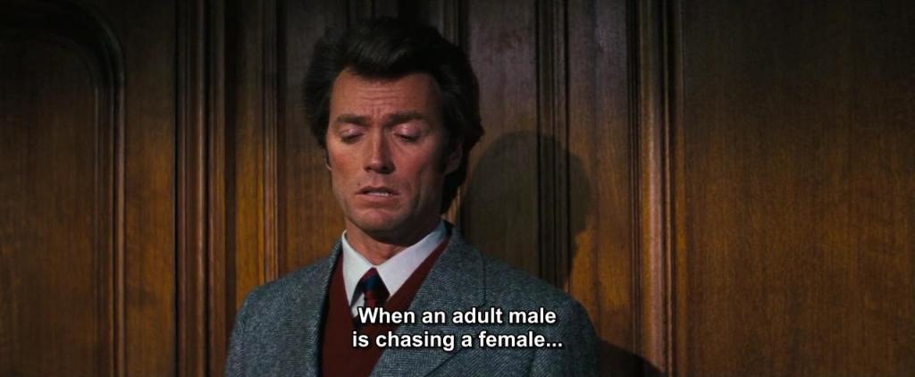 Dirty Harry (1971)