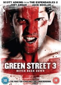 Green Street 3 Never Back Down (2013) Hindi Dubbed Movie Free Download 480p 300MB 1