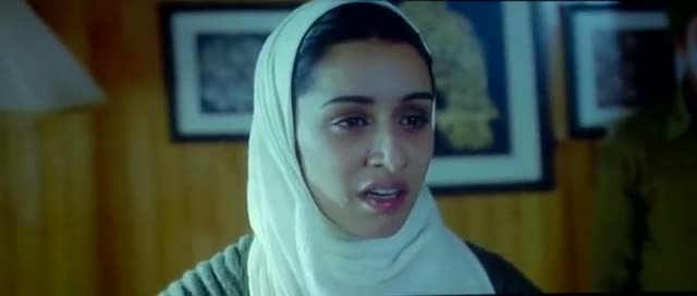 Haider (2014)