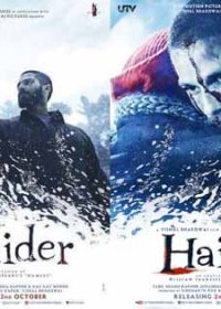 Haider (2014) Hindi Movie 400MB Free Download In 480p 1