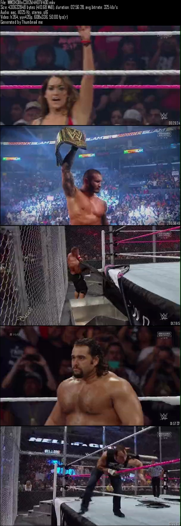 WWE Hell In A Cell (2014)