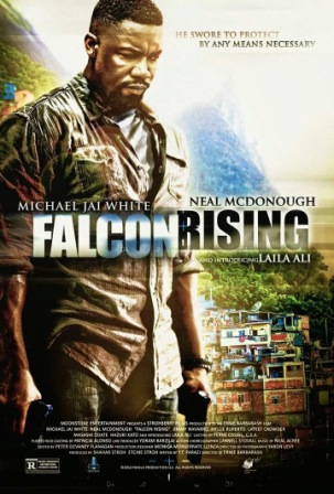 Falcon Rising (2014)