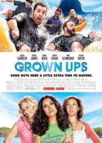 Grown Ups (2010) Hindi Dubbed Download 200MB 480p