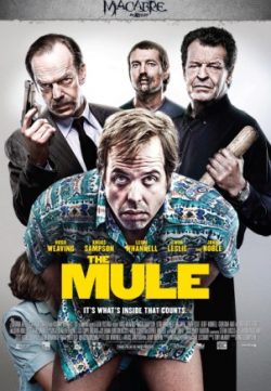 The Mule (2014) English HD 480p 200MB Free Download