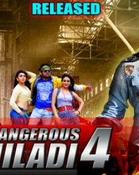 Dangerous Khiladi 4 (2011) Hindi Dubbed Download HD 480p 200MB