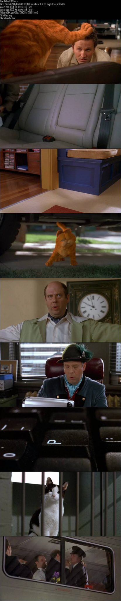 Garfield (2004)