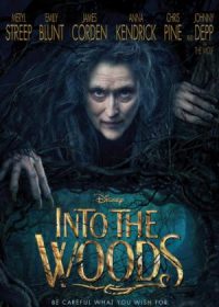 Into the Woods (2014) 200MB Download 480p