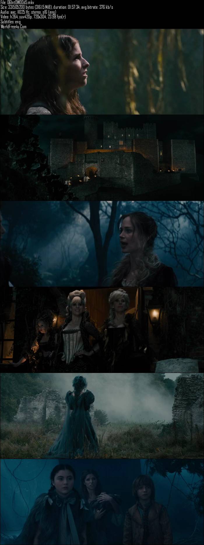 Into the Woods (2014)