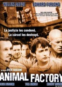 Animal Factory (2000) Hindi Dubbed Download 200MB 480p