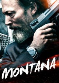 Montana (2014) Hindi Dubbed Download 200MB 480p