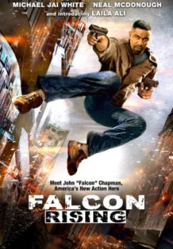 Falcon Rising (2014) Hindi Dubbed Download 200MB 480p