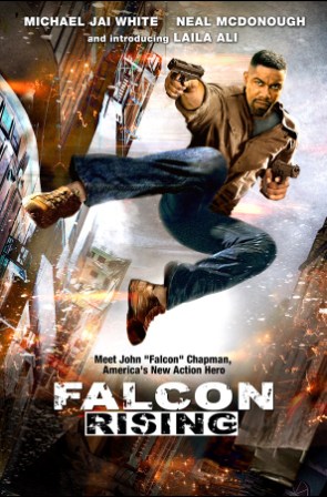 Falcon Rising (2014)