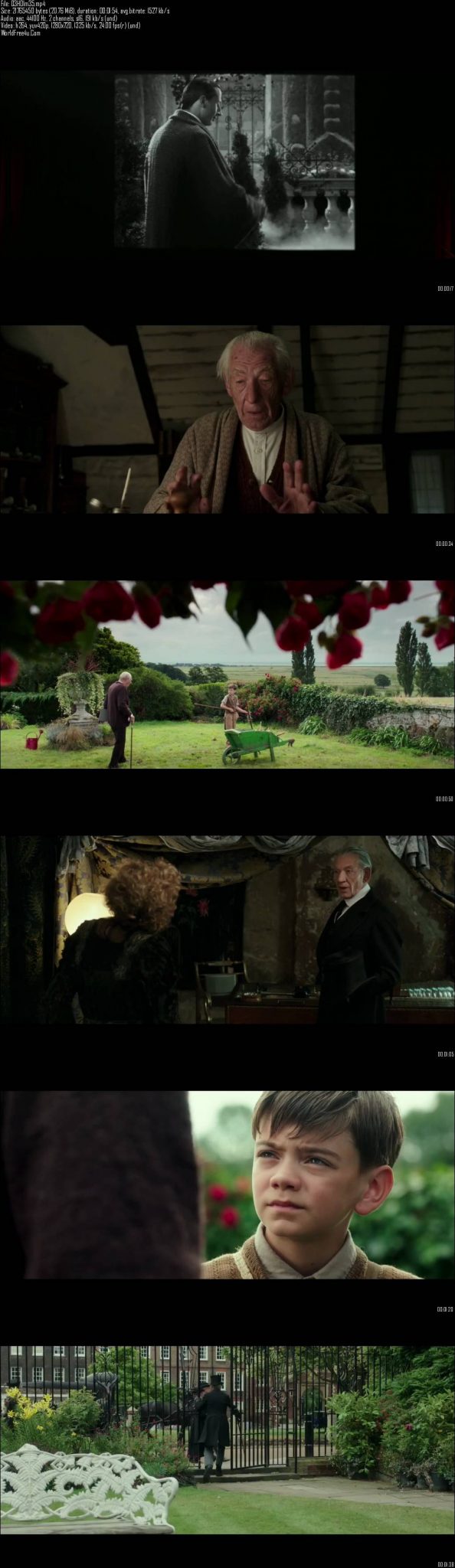 Mr. Holmes (2015)