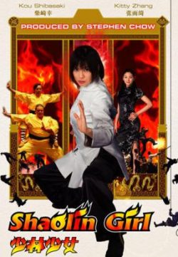 Shaolin Girl (2008) 720P Hindi Dubbed 200MB