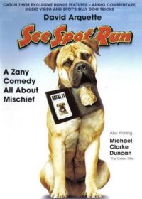 See Spot Run (2001) Dual Audio Download 480p 150MB