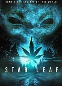 Star Leaf (2015) HDRip 480p 200MB