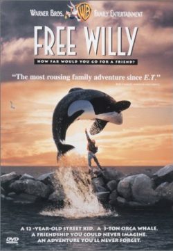 Free Willy 1993 Hindi Dual 480P 350MB