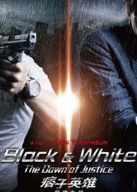 Black And White The Dawn of Justice 2014 Hindi Dubbed 480p