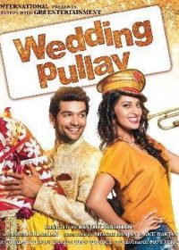 Wedding Pullav (2015) Full Movie DVDRip 400MB