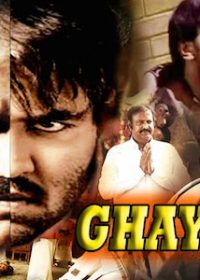 Ghayal Angrakshak 2016 Hindi Dubbed DVDRIP 480p