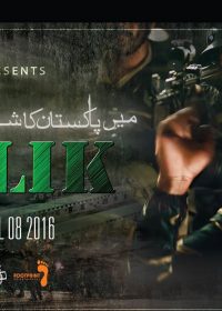 Maalik (2015) Pakistani Movie DVDScr 700MB