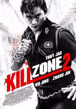 Kill Zone 2 2015 480p BluRay 700mb