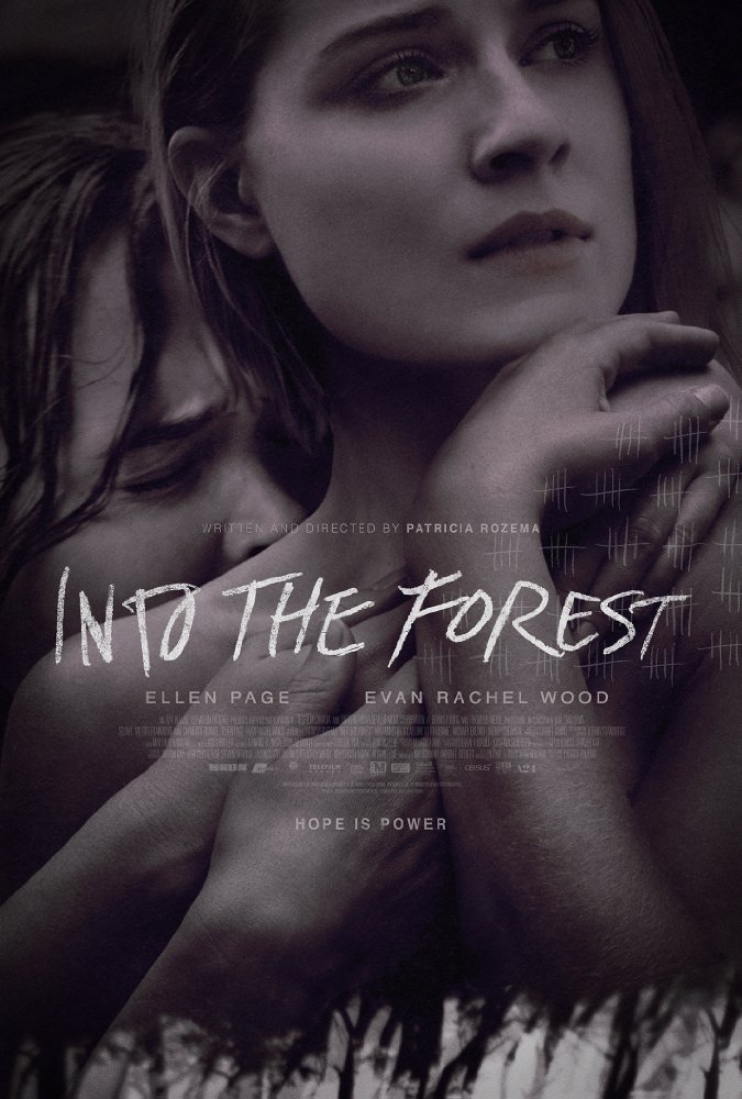 IntotheForest