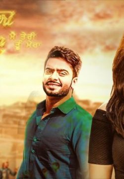 Main Teri Tu Mera (2016) Hindi 480p BluRay 300mb