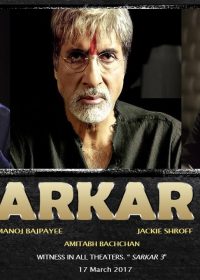 Sarkar 3 (2017)