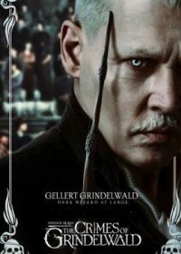 Fantastic Beasts The Crimes of Grindelwald (2018) Dual Audio