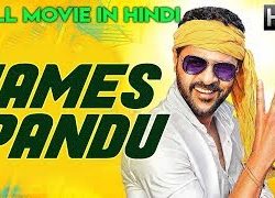 James Pandu (2019) Hindi Dubbed 300MB WEBRip 480p x264